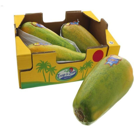 PAPAYE GEANTE FORMOSA 3PCS